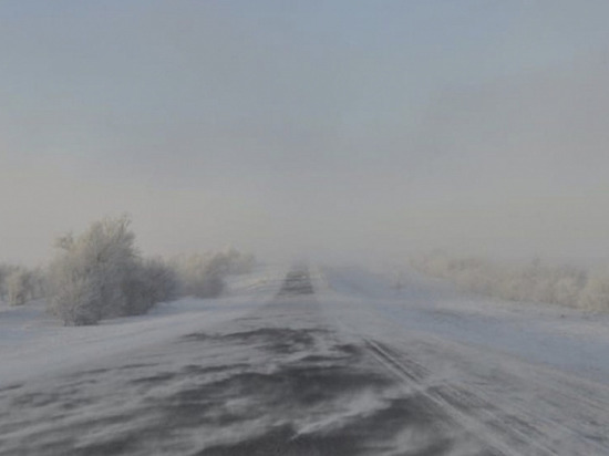 Участок дороги Заполярный — Сальмиярви перекрыли из-за плохой погоды