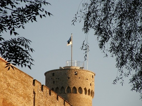 Президент Эстонии посоветовал НАТО укреплять восточное крыло