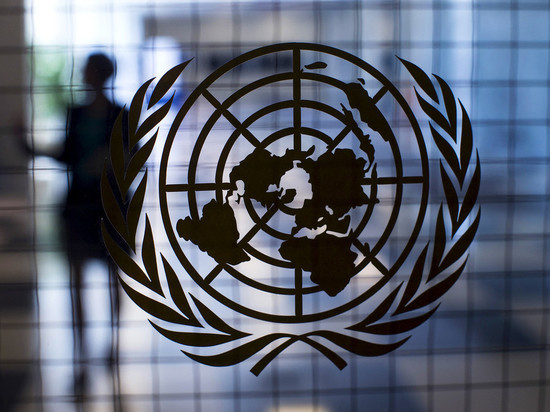 СБ ООН планирует обсудить гуманитарную ситуацию на Украине