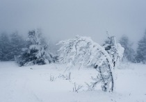Многим жителями небольшого курильского городка – Северо-Курильска, во вторник, 29 марта, не удалось добраться до работы из-за сильного снегопада и метели.