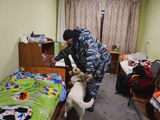 Полицейские Колымы с собакой прошлись по студенческим общежитиям