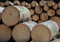 Ранее судимый забайкалец получил уголовное наказание за передачу контрабандного леса в Китай на 82 млн рублей