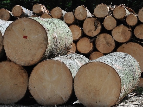 Суд обязал забайкальца вернуть 82 млн рублей за продажу леса в Китай
