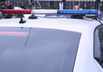 Следственный комитет возбудил уголовное дело в отношении 31-летней жительницы Перми, которую заподозрили в случайном убийстве собственного ребенка