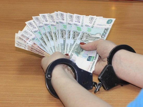 Против заведующей учебным заведением возбудили дело новосибирские следователи