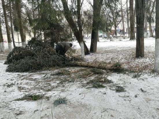 Ветер повалил деревья и дорожные знаки в Тверской области