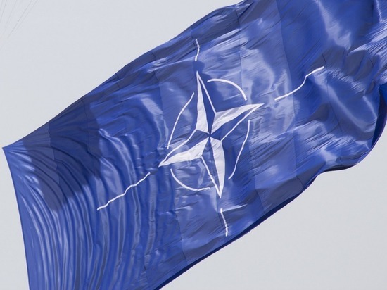 Bloomberg сообщил о расколе НАТО по вопросу диалога с Путиным