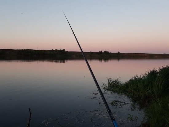 В Рязанской области запретили рыбалку на естественных водоёмах