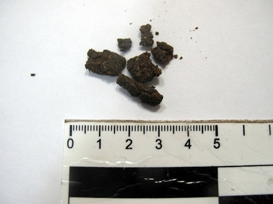 36-летней смолянке грозит срок до 20 лет за сбыт крупной партии «спайса»