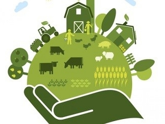 В Смоленской области спросят о жизни личных подсобных хозяйств