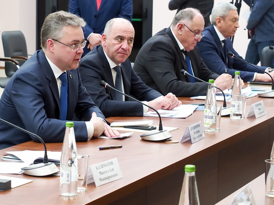 Губернатор назвал сильные стороны Ставрополья в условиях санкций