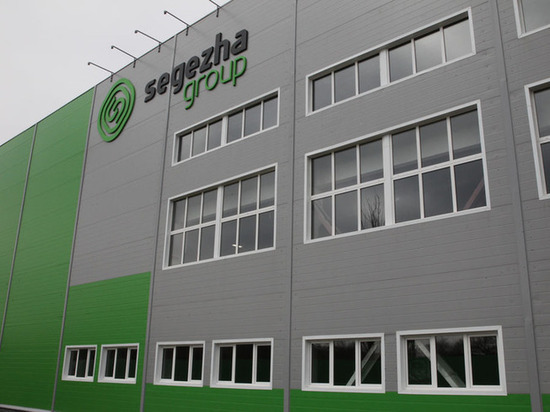 Segezha Group нанимает персонал в Костромской области