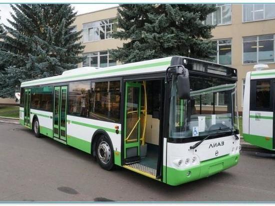 Никто не захотел поставить Владимиру новые автобусы