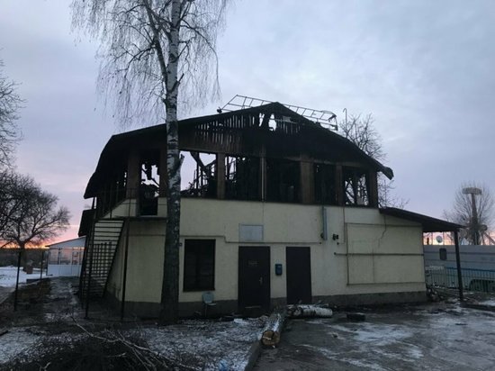 В Курске отказались от идеи строительства нового театра кукол в Первомайском парке