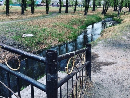 Попову и комитет горхозяйства Читы оштрафовали за работы в парке Угольщиков