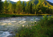 Республика Алтай замкнула тройку национального экологического рейтинга российских регионов по итогам зимы