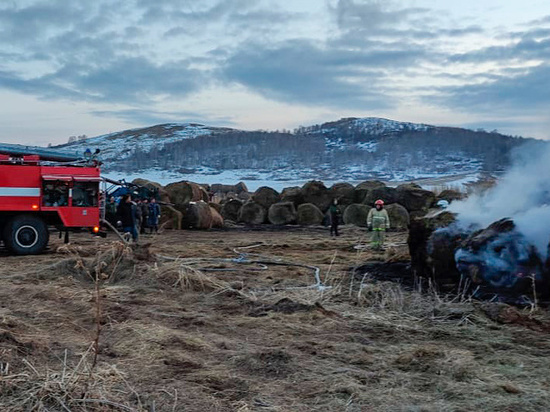 В Хакасии из-за детской шалости сгорело 50 тонн сена