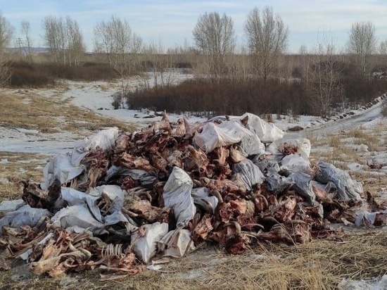 В Красноярском крае обещали убрать три незаконные свалки площадью более 50 Га