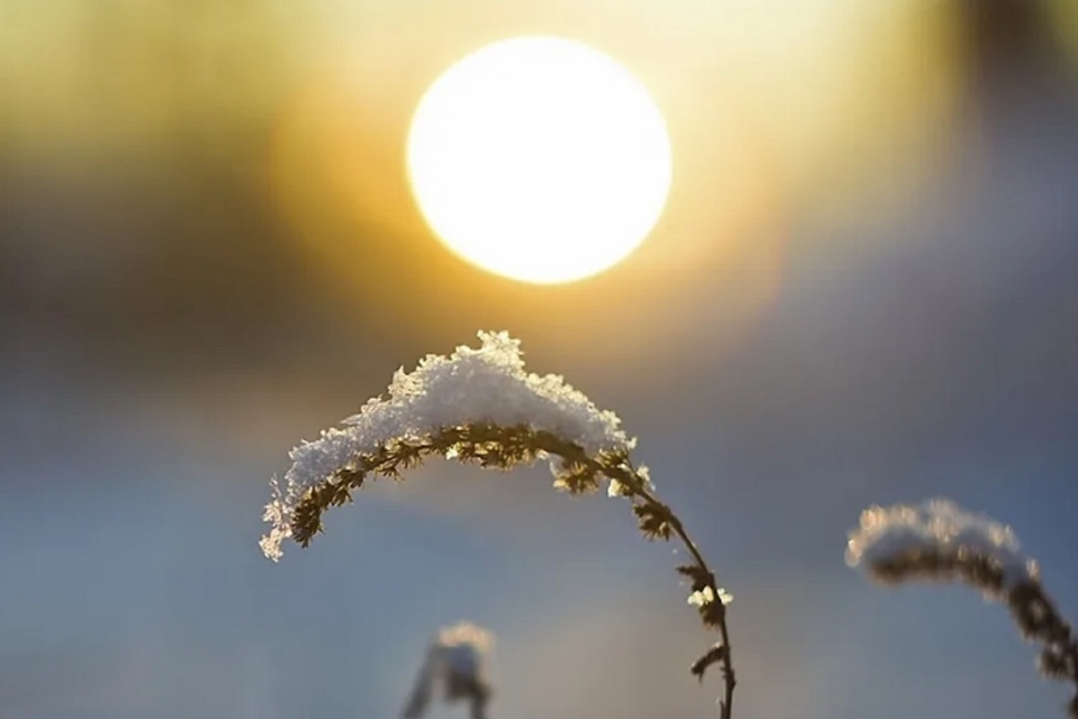 Зима в Костромской области продлится еще неделю