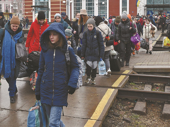 Германия: Будут ли введены квоты на прием беженцев из Украины