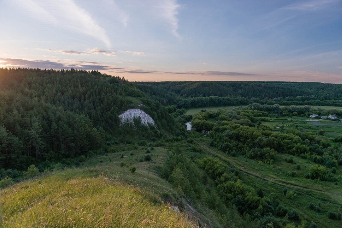 Маломихайловка белгородская область. Бекарюковский Бор Белгородская область. Бекарюковский Бор Маломихайловка. Заказник «Бекарюковский Бор».