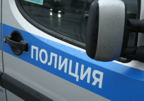 Московский полицейский и хирург Федерального медицинского биофизического центра имени Бурназяна серьезно повздорили в столичном сабвее