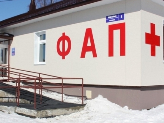 В Лузском районе открыли фельдшерский пункт на 167 человек