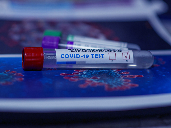 В новом коронавирусе есть генетические признаки двух различных штаммов