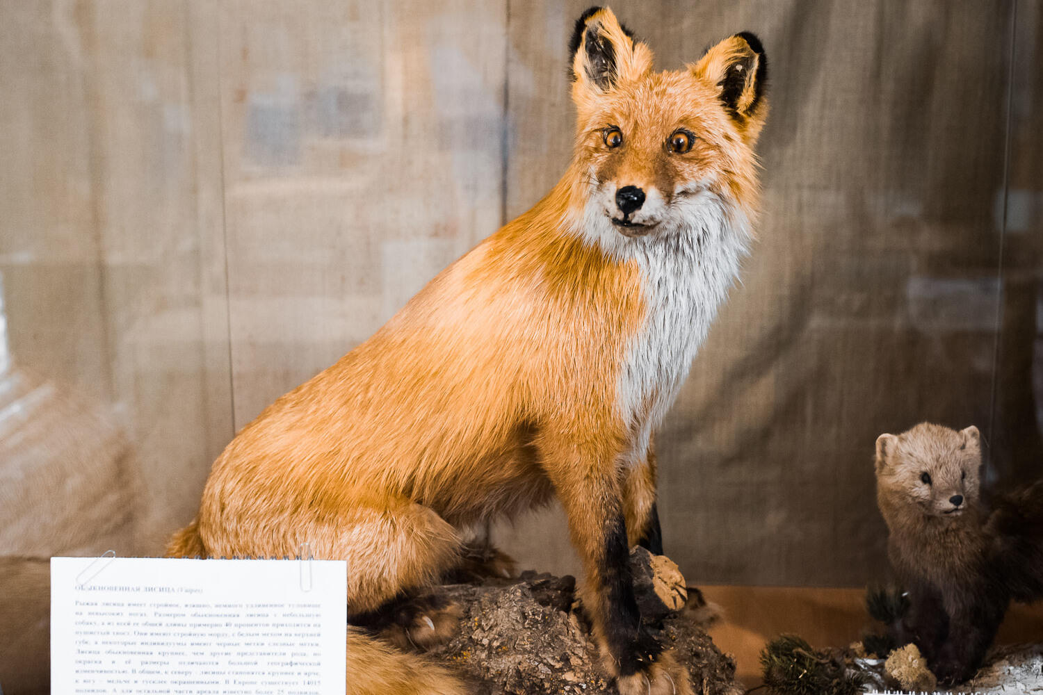 Дагинские источники: кадры с севера Сахалина