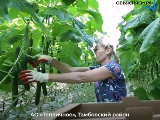 Тамбовчане присоединились к всероссийской акции «Мы работаем»
