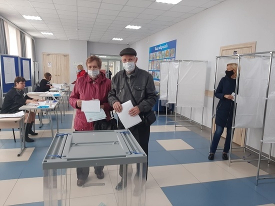 Выборы муниципального уровня пройдут в Ленобласти в единый день голосования
