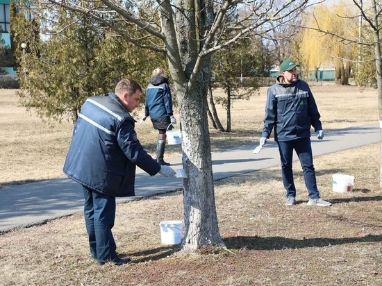 В Иванове начинается время проведения субботников