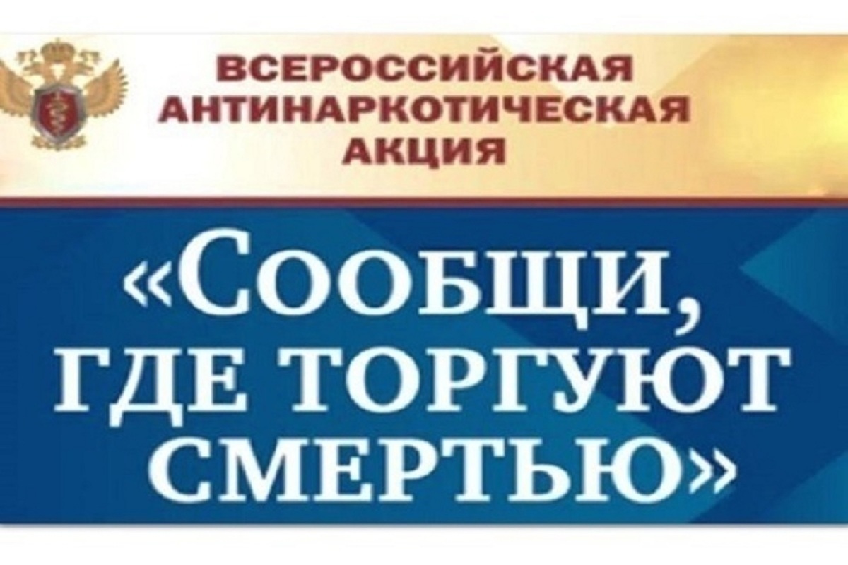 Костромские правоохранители подвели итоги акции «Сообщи, где торгуют смертью»