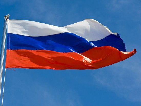 В Госдуме попросили запретить бело-сине-белый «флаг России»