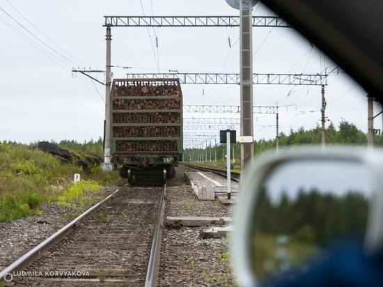 В распоряжение "МК в Карелии" попал любопытный документ