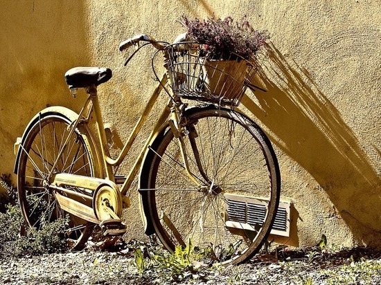 Жителям Германии посоветовали пересесть на велосипеды