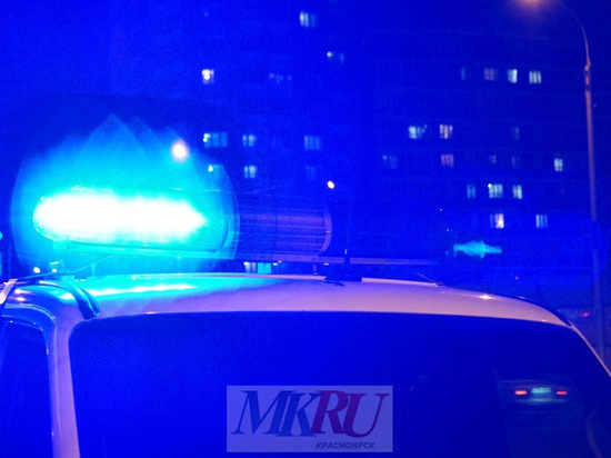 Тело 35-летней женщины было обнаружено на свалке близ села Тасеево Красноярского края