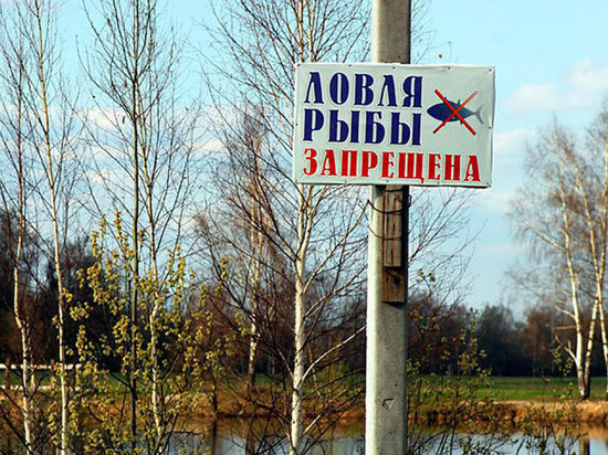 В Ярославской области объявили весенний запрет на рыбалку