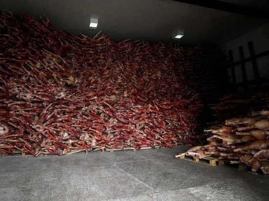 Такие объёмы поставок будут достигнуты в течение года