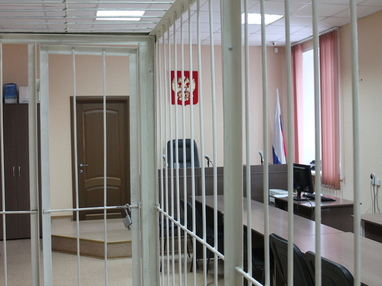 Житель Омска отправится на 17 лет в колонию за изнасилование 11-летней девочки