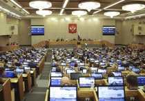 В Государственной думе РФ предложили создать механизм исключения из реестра тех некоммерческих организаций (НКО), которые ведут деятельность по дискредитации России