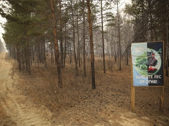 В Забайкалье со 2 апреля запретили вход в лес, на севере - с 29 апреля
