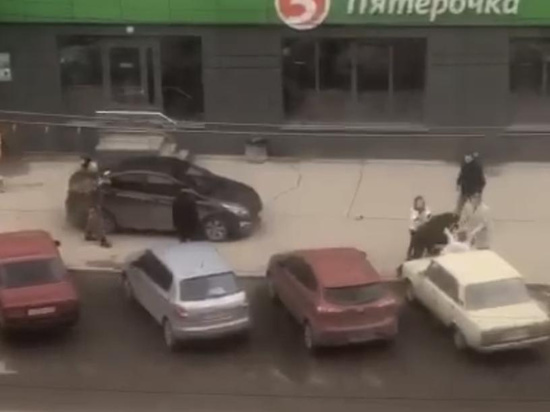 Полиция начала проверку по факту драки на улице Гагарина в Рязани