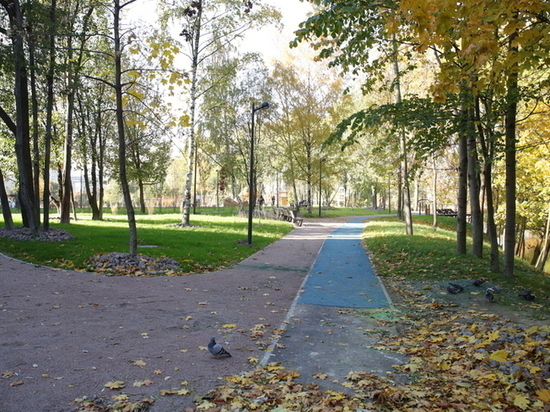 Петербург признали успешным городом с благоприятной средой проживания
