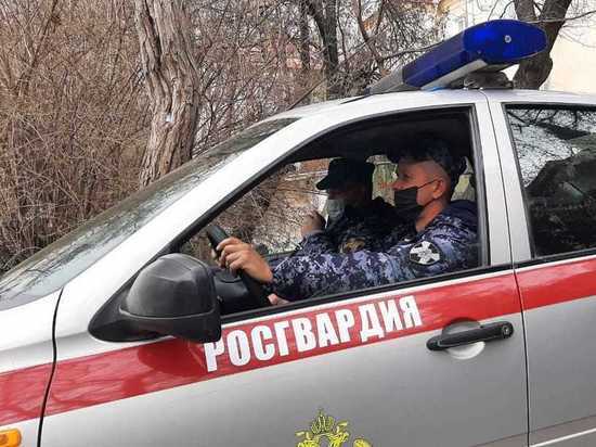 В Севастополе раскрыли преступную группу, которая обкрадывала сетевые магазины