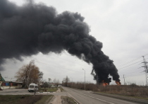Президент Зеленский отказался комментировать удар украинских вертолетов по   белгородской нефтебазе