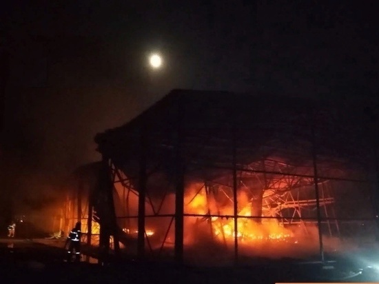 Пожарные почти 4 часа тушили вспыхнувшие гаражи в Сертолово