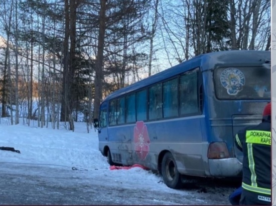 В центральном аппарате СК дадут оценку действиям всех, кто отвечал за перевозку детей.