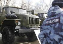В Киевской области в месте выдачи гуманитарной помощи, благодаря действиям спецназа Росгвардии, удалось предотвратить террористический акт. Об этом информирует пресс-служба оборонного ведомства. 