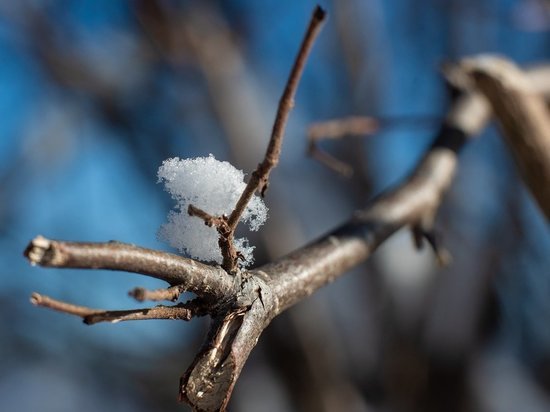 Погода на неделю в Сахалинской области с 4 по 8 апреля 2022: снег, дождь, порывистый ветер